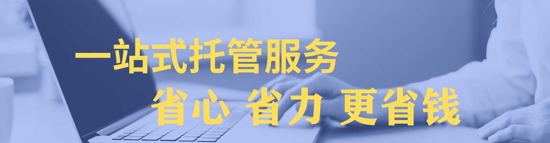 信丰sem竞价